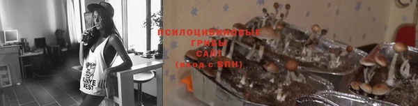 не бодяженный Касимов