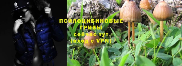 ALPHA PVP Карпинск
